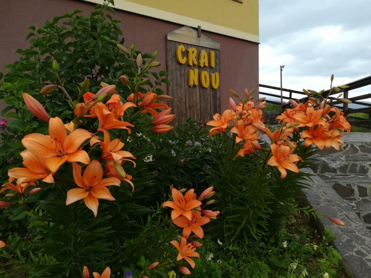 Pensiunea Crai Nou Şirnea Exterior foto