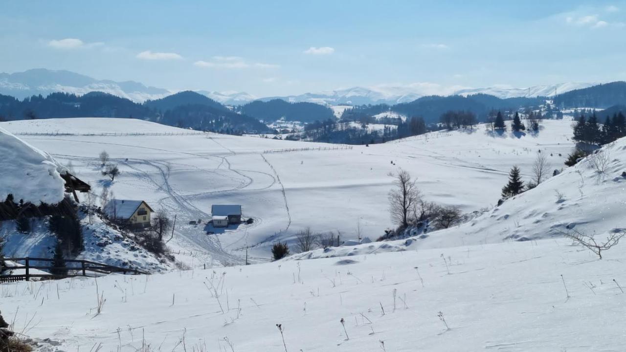 Pensiunea Crai Nou Şirnea Exterior foto