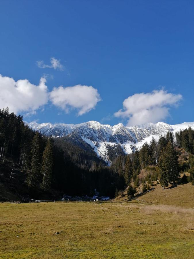 Pensiunea Crai Nou Şirnea Exterior foto