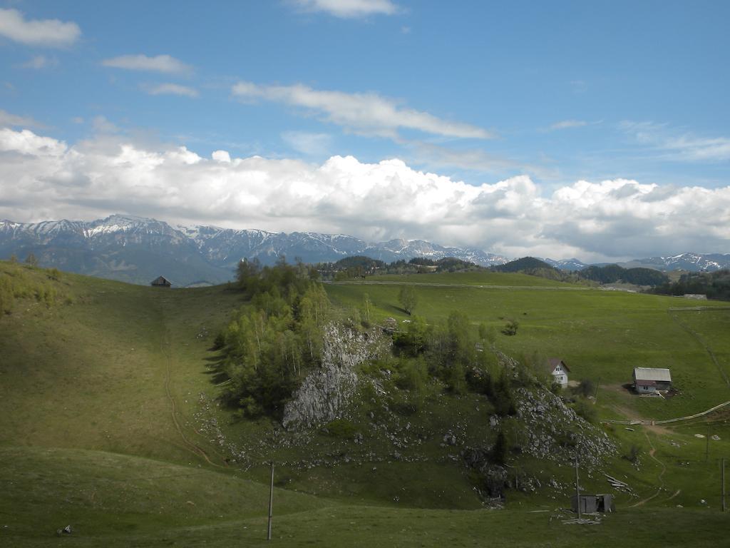 Pensiunea Crai Nou Şirnea Exterior foto